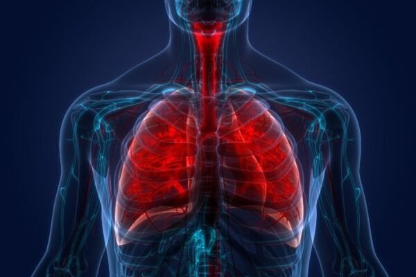 Managing Respiratory Conditions: Expert Guidance for Better Breathing Respiratory Conditions
